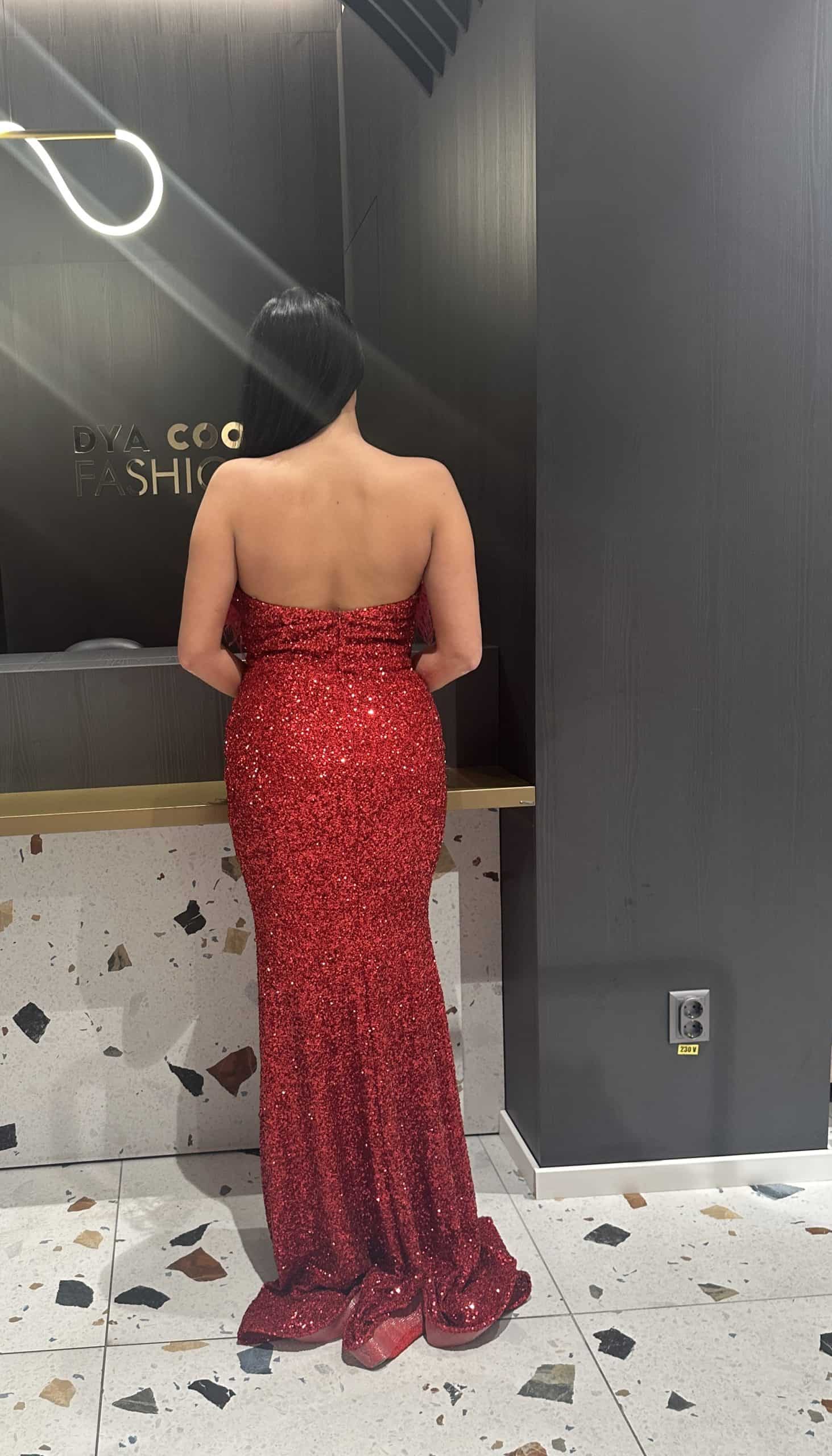 Rochie Lunga Rosie cu Paiete si Pene DYA414 - imagine 6